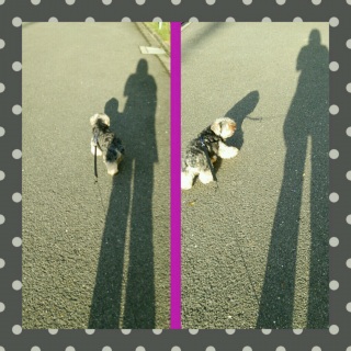 ����Ȋ�����