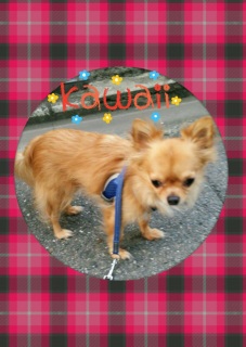 �����ۂ�B