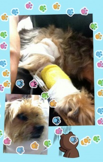 �}�����@