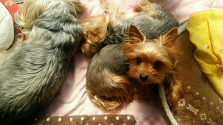 �ڂ��E�E�E