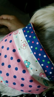 �Ԃ�����