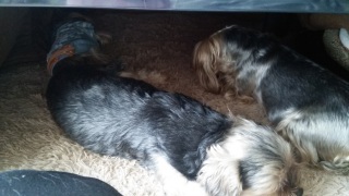 �����̒�