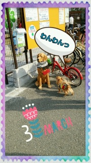 �����3���̂���