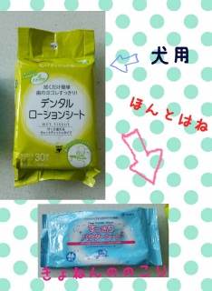 4���̂��ƁB