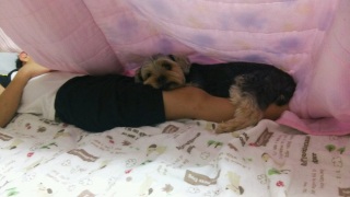 5���̂���