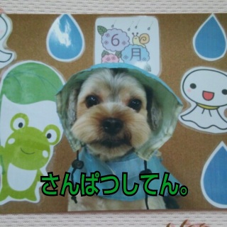 7���Ȃ̂�6���̂��ƁB