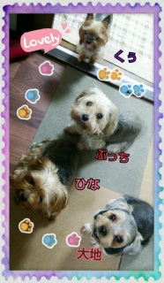 ��������