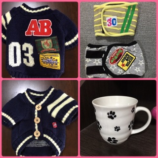 11�� ���j��