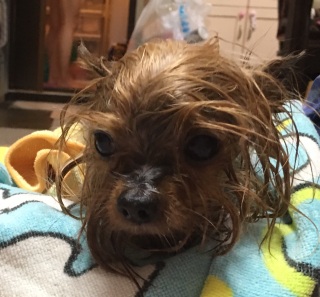 10��12�� �j��