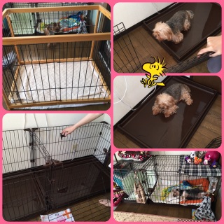 �V�����P�[�W