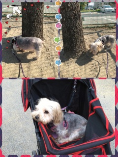 21�� ���j��