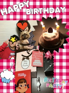 12��1��(��)