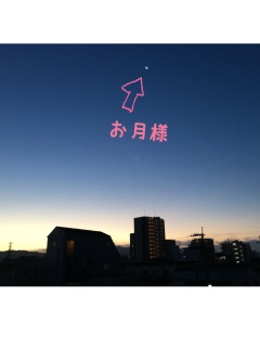 ����6����