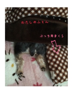 �傿���̂��K