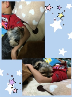 �Q���̂����