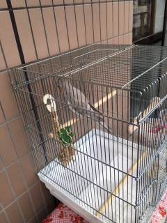 �x�����_��