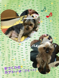 5���̂��ƁI