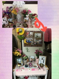 �����z��