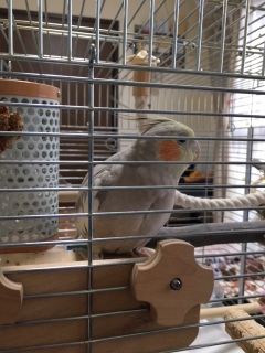 ���Ƃ����