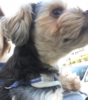 �y�j��������