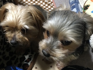 �ł�������