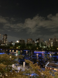 2019�N�̎��[